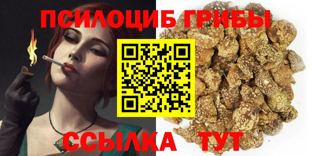 Галлюциногенные грибы Psilocybine cubensis Железноводск