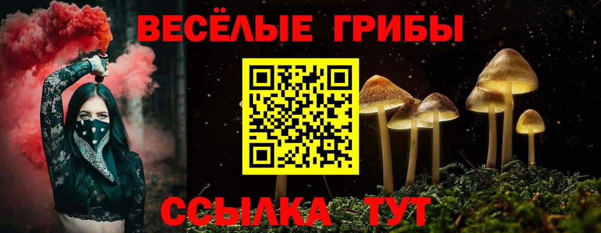 Железноводск  Галлюциногенные грибы MAGIC MUSHROOMS  Вход с VPN 